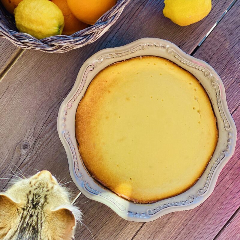 Fiadone Corsican Cheesecake